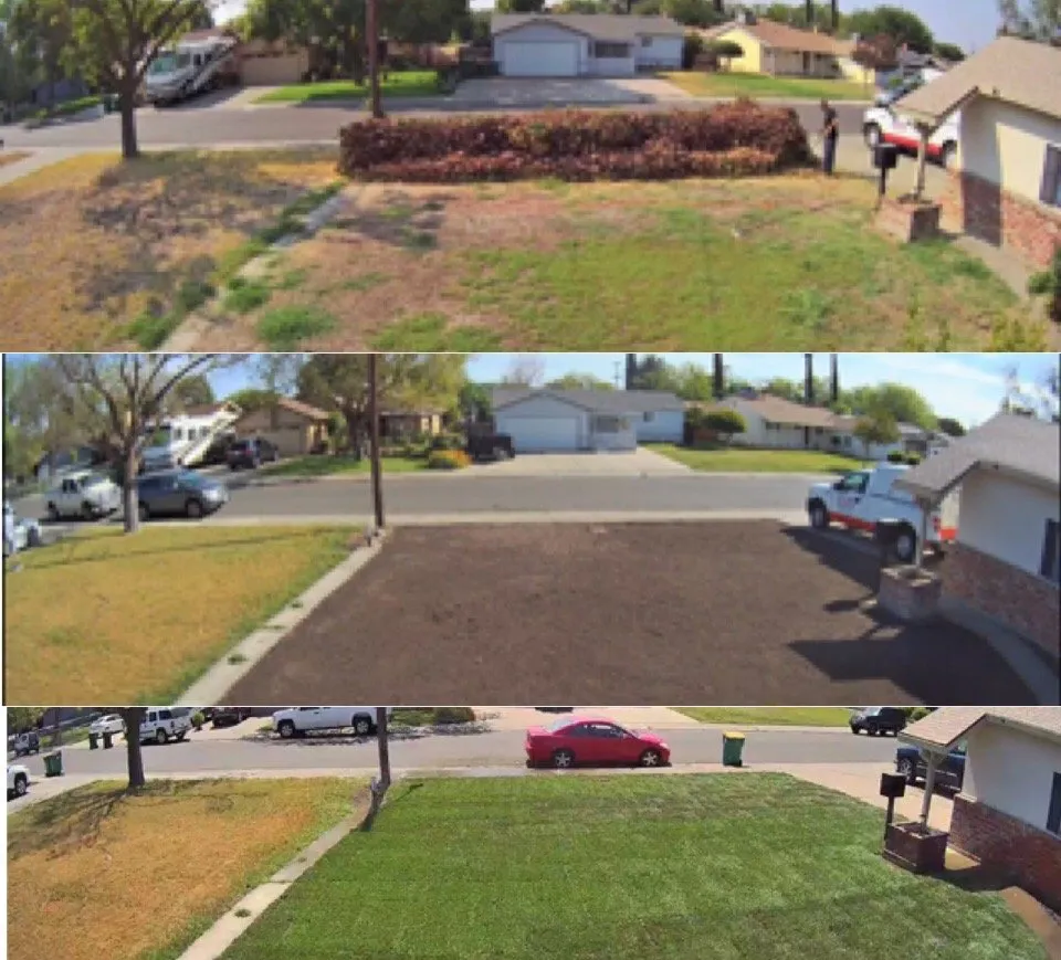 Affordable lawn care service experts serving Stockton, CA - Nick's Landscaping
