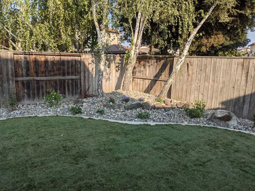 Custom yard cleanup service in Stockton, CA by Nick's Landscaping