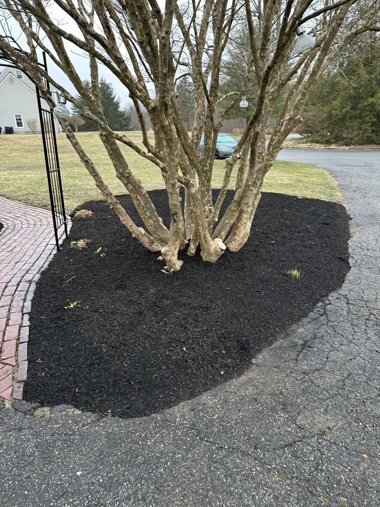 Reliable landscape installation for beautiful yards in Upton, MA by Nicks Landscaping