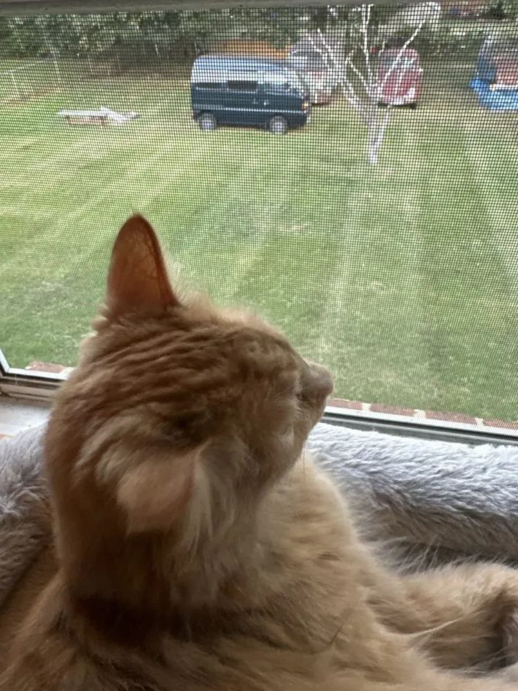 Custom garden landscaping experts serving Winchester, VA - Nick's Landscaping