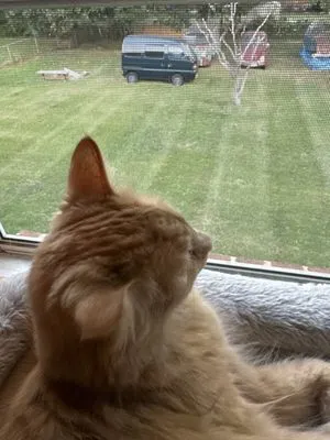 Nick's Landscaping Logo