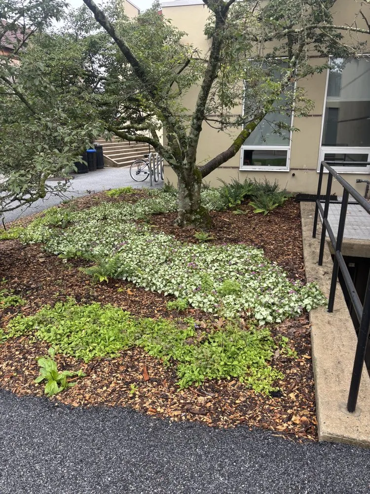 Expert landscaping services experts serving Flourtown, PA - Nick's Lawn & Garden