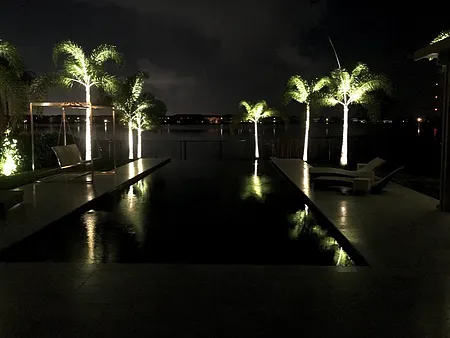 Expert yard cleanup service with custom design in Pompano Beach, FL by Nick's Lawn & Nursery