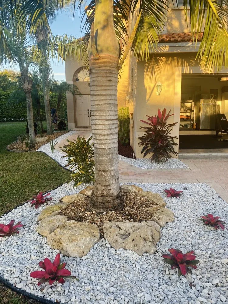 Professional yard cleanup service in Pompano Beach, FL by Nick's Lawn & Nursery