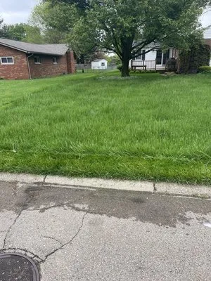 Nick’s Lawn and Landscape