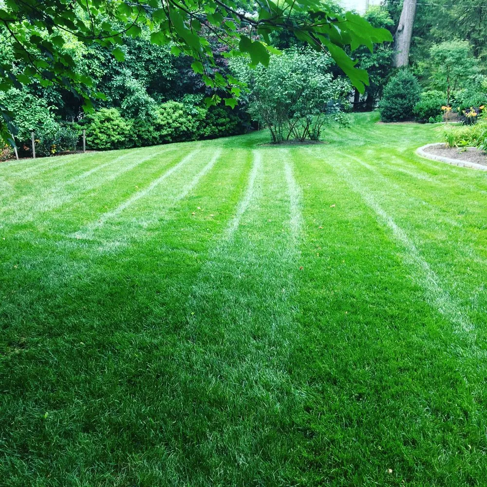 Trusted lawn care service in Southampton PA, PA - Nick's Lawn And Landscape