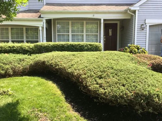 Nick's Lawn And Landscape