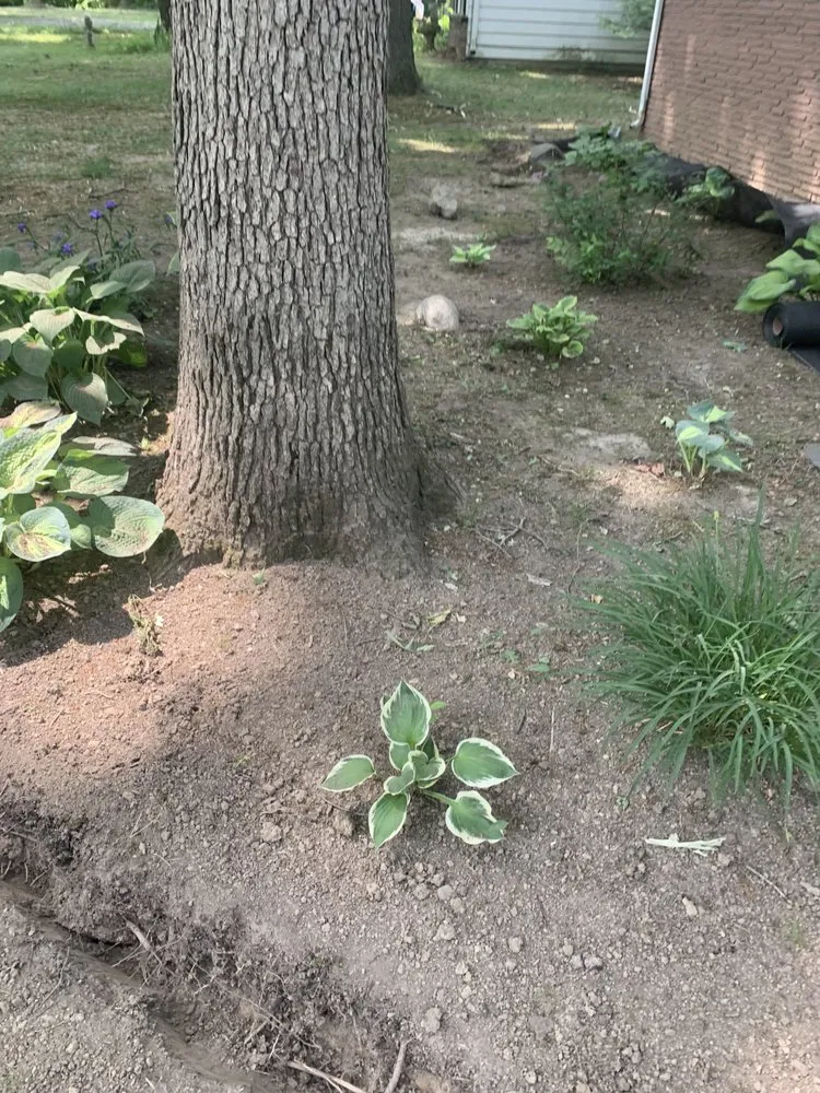 Professional lawn mowing service in Fort Wayne, IN by Nick’s Lawn Care