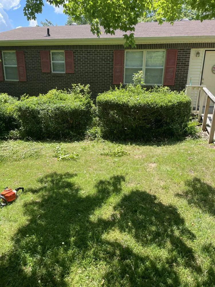 Custom outdoor landscaping in Gilbertsville, KY by Nicks Lawn Care