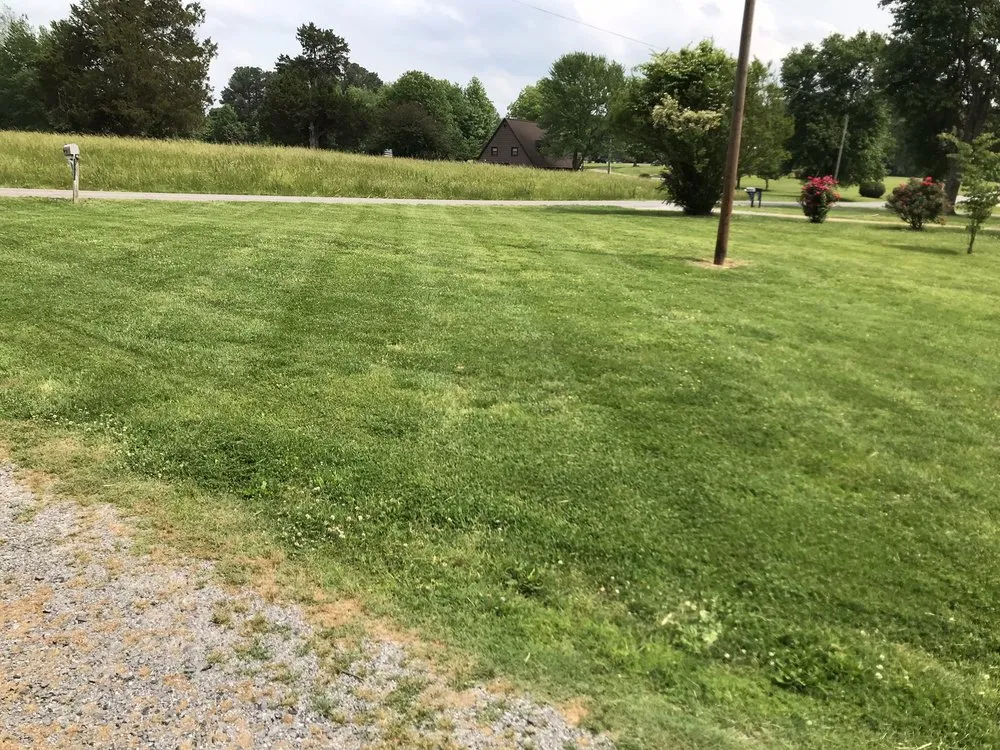 Local residential landscaping near you in Gilbertsville, KY by Nicks Lawn Care