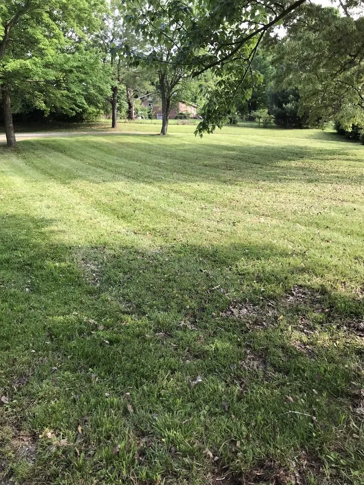 Local lawn mowing service in Gilbertsville, KY by Nicks Lawn Care