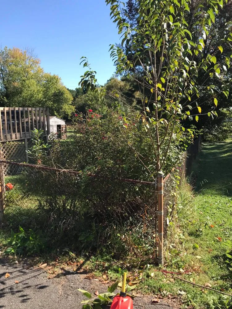 Reliable residential landscaping with custom design across Gilbertsville, KY - Nicks Lawn Care