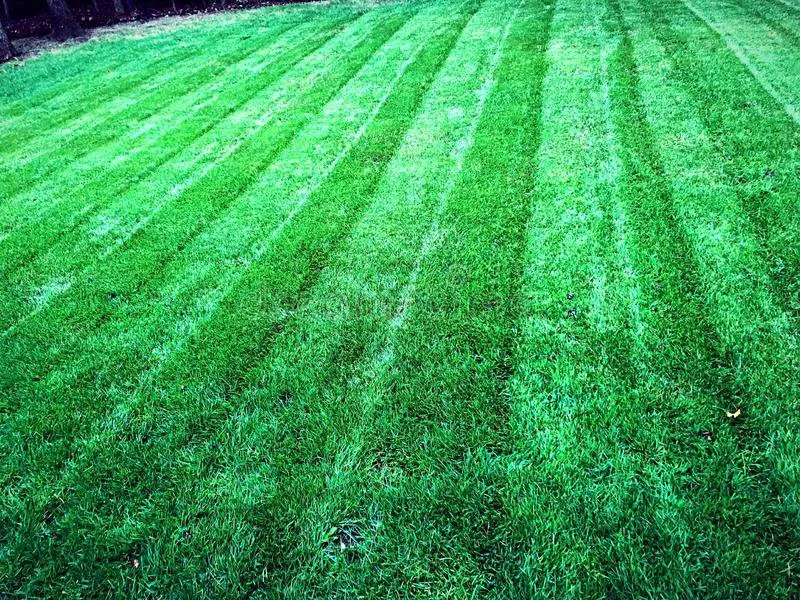 Affordable yard maintenance in Homer City, PA by Nicks Lawn Care