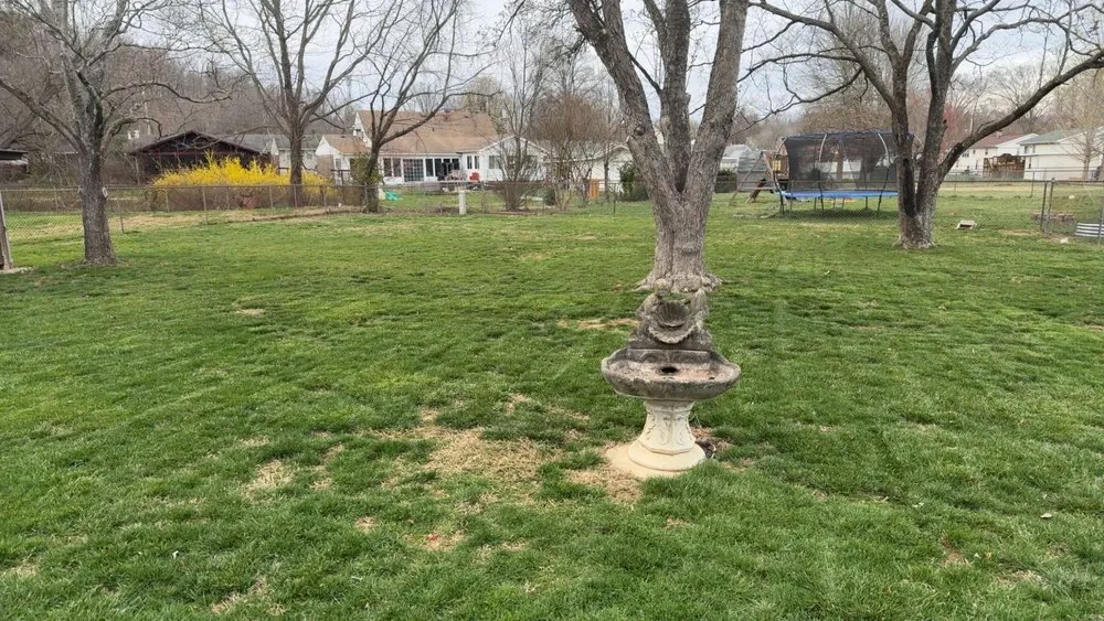 Local lawn care service in Milton, WV by Nicks lawn care