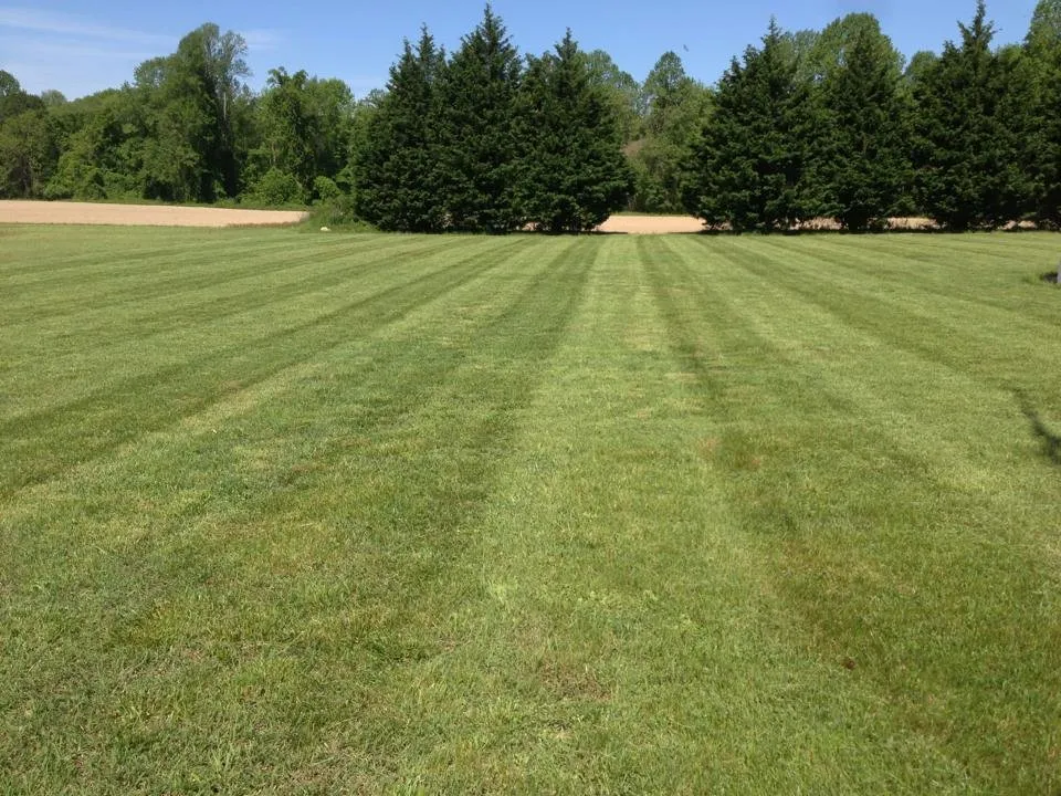 Local lawn care service in Wyoming, DE - Nick's Lawn Care