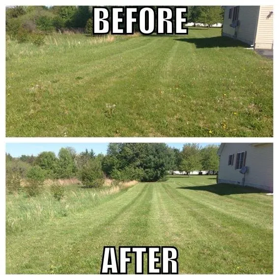 Professional yard maintenance experts serving Wyoming, DE - Nick's Lawn Care