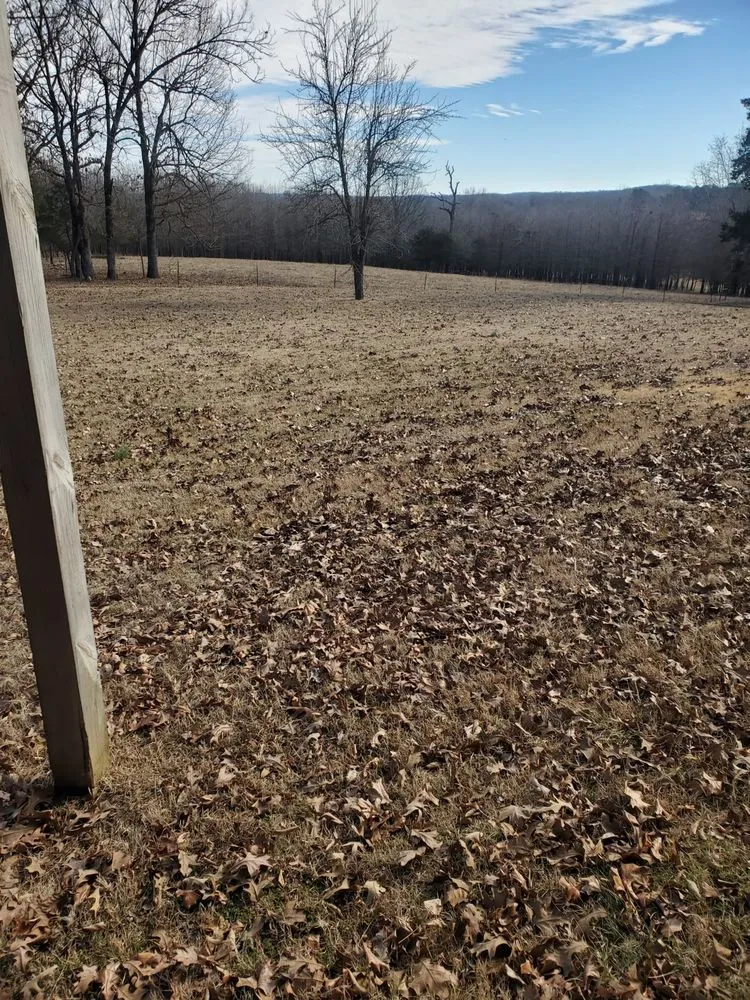 Professional residential landscaping in Doniphan, MO - Nick's Lawn Maintenance & Powerwashing