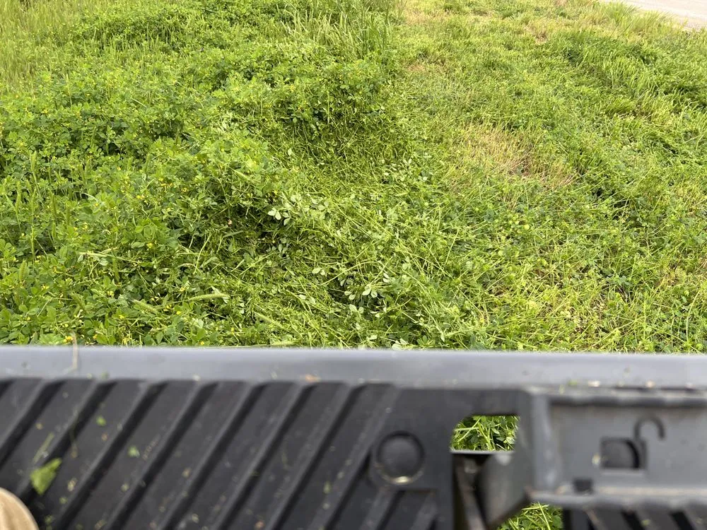 Custom residential landscaping with custom design across Jonesboro, AR - Nicks Lawn Mowing