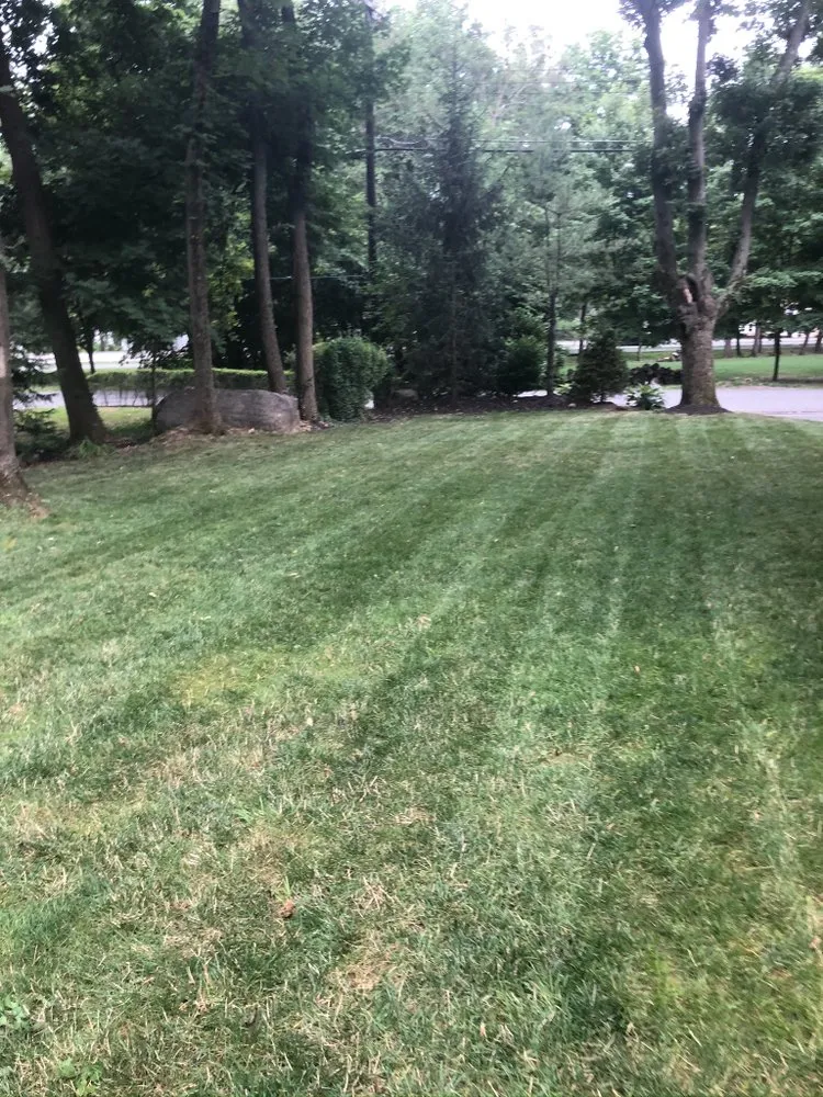 Professional landscape design in Mountain Lakes, NJ - Nick’s Lawn Service