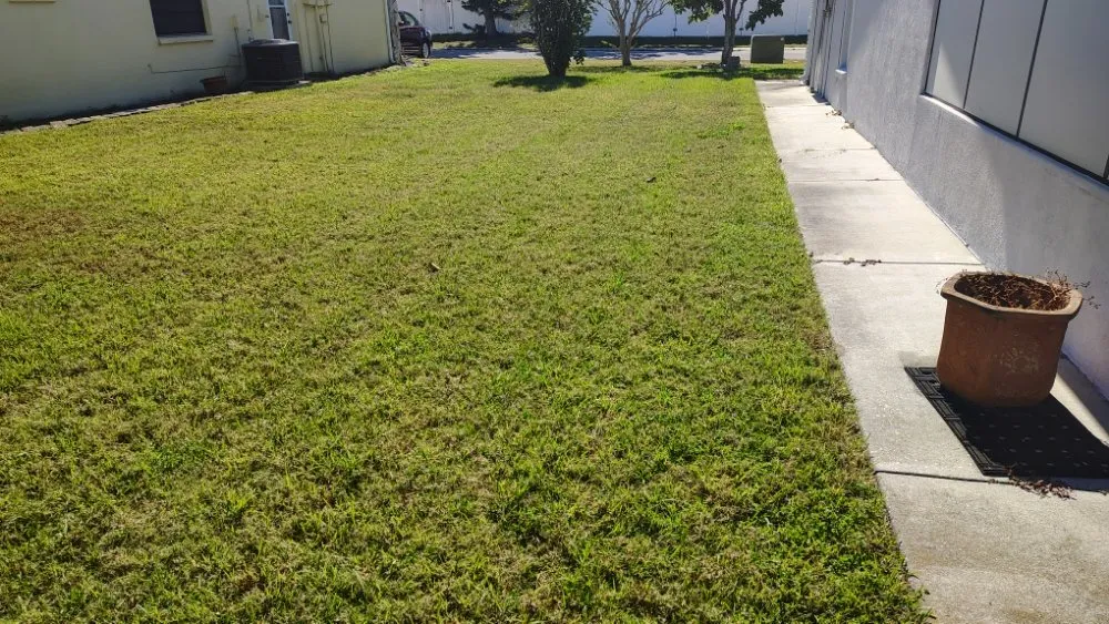 Custom residential landscaping for year-round maintenance across Port Richey, FL - Nicks Lawn Service
