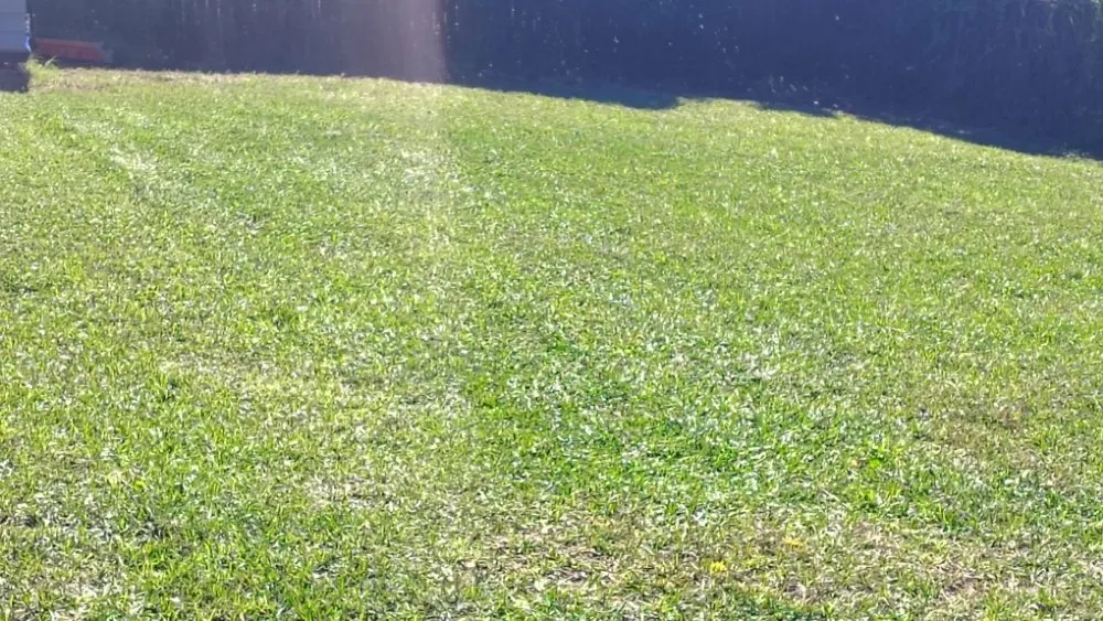 Reliable landscaping services for residential properties in Port Richey, FL by Nicks Lawn Service