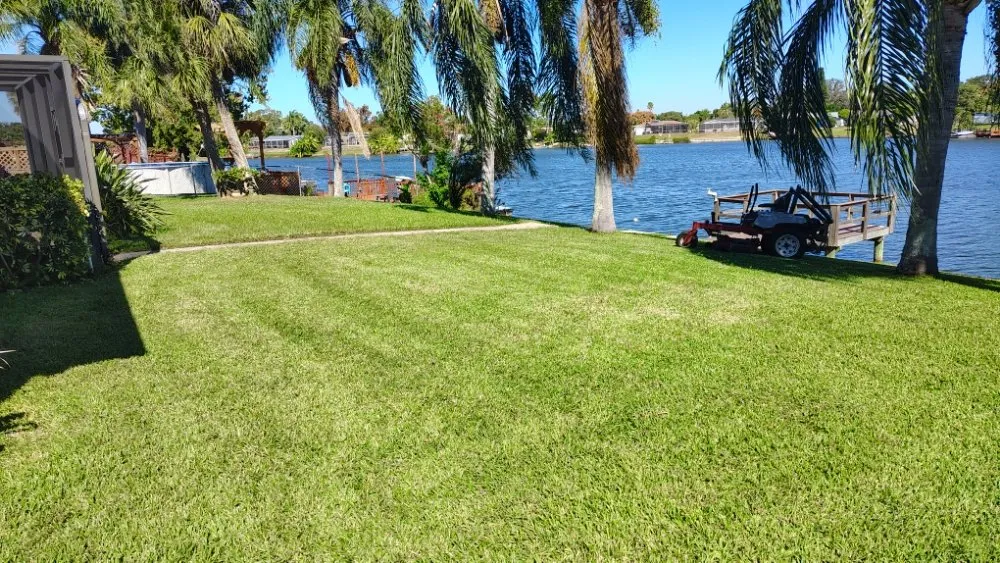 Affordable lawn care service in Port Richey, FL by Nicks Lawn Service