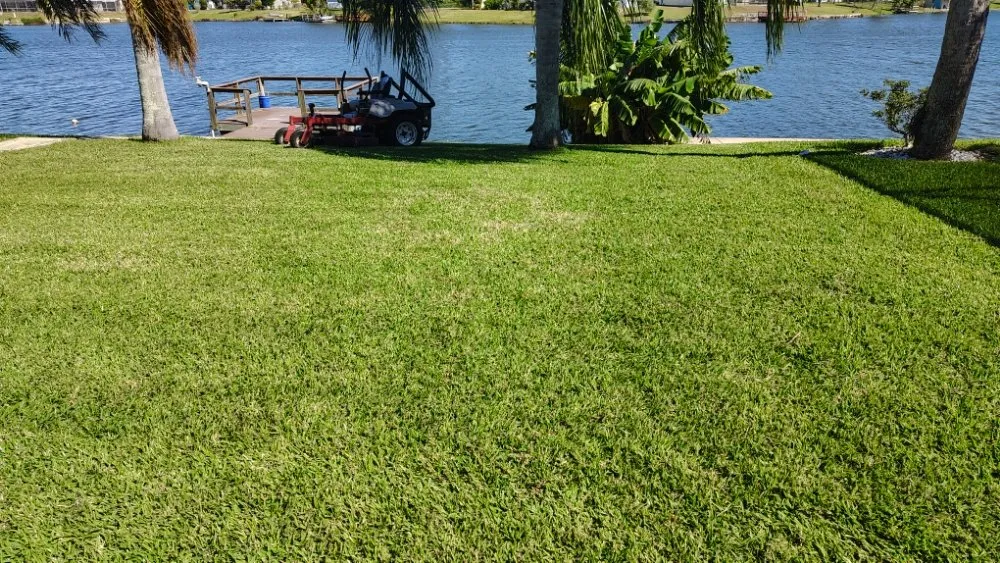 Affordable yard maintenance for outdoor upgrades across Port Richey, FL - Nicks Lawn Service