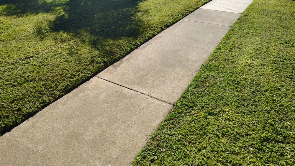 Trusted outdoor landscaping experts serving Port Richey, FL - Nicks Lawn Service