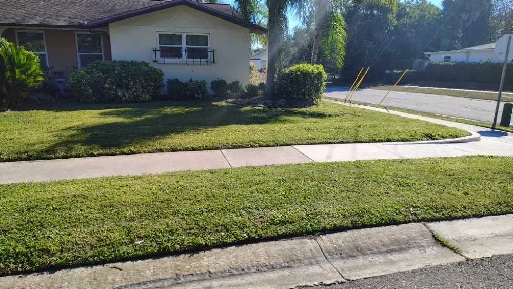 Affordable yard cleanup service for residential properties across Port Richey, FL - Nicks Lawn Service