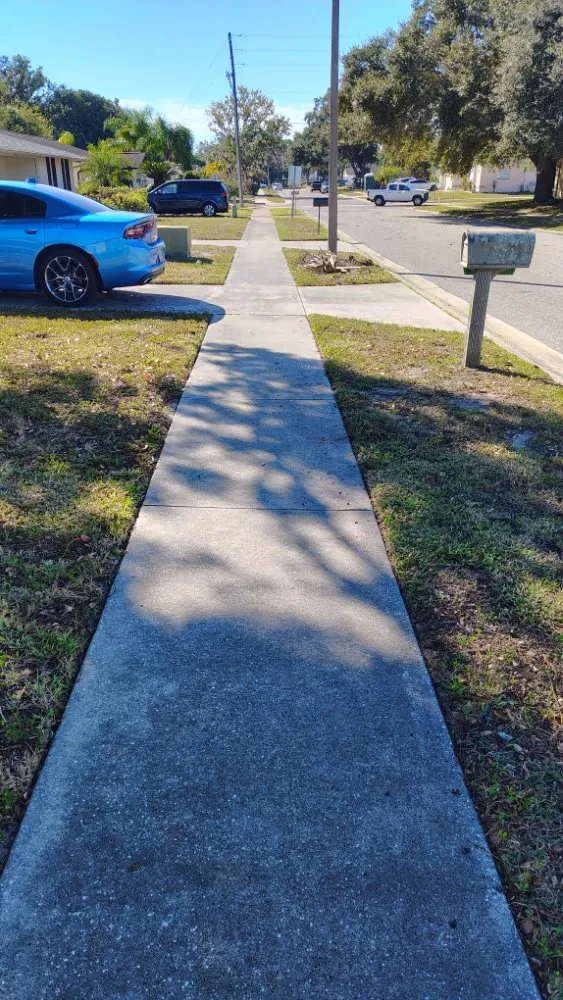 Professional yard maintenance for beautiful yards in Port Richey, FL by Nicks Lawn Service