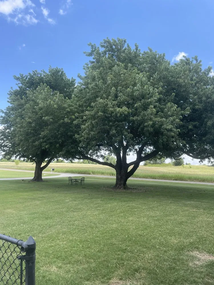 Top-rated residential landscaping for outdoor upgrades across Newcastle, OK - Nicks Mowing