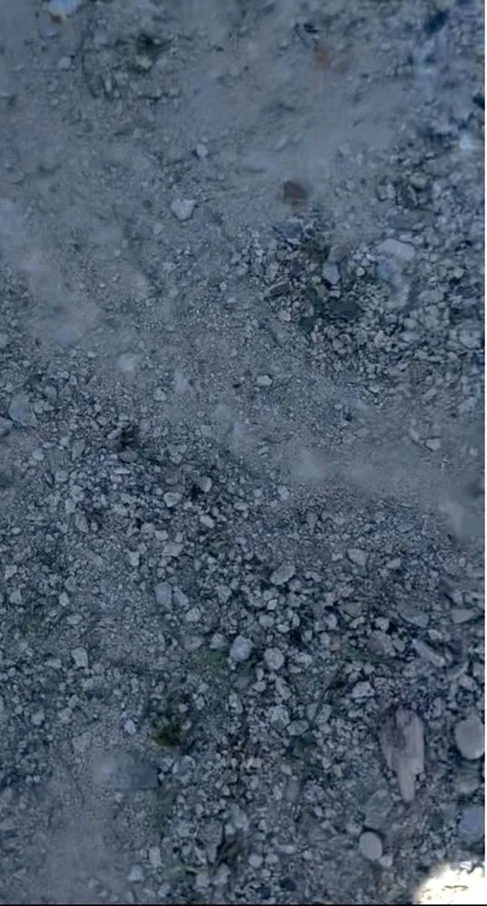 Local residential landscaping experts serving West Seneca, NY - Nicks mowing service