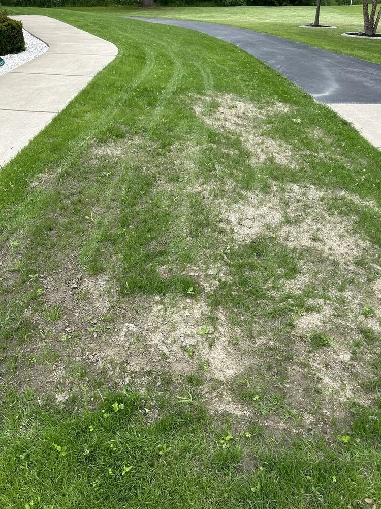 Affordable yard cleanup service experts serving West Seneca, NY - Nicks mowing service