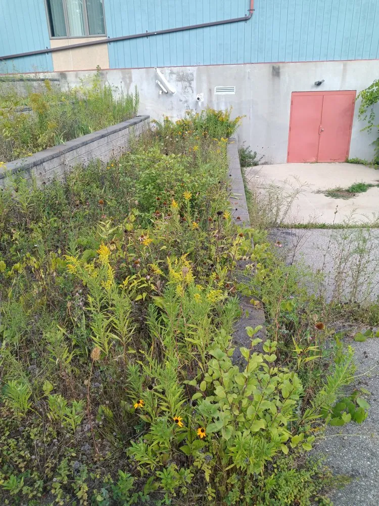 Affordable landscape design for residential properties in Flint, MI by Nick's Outdoor services