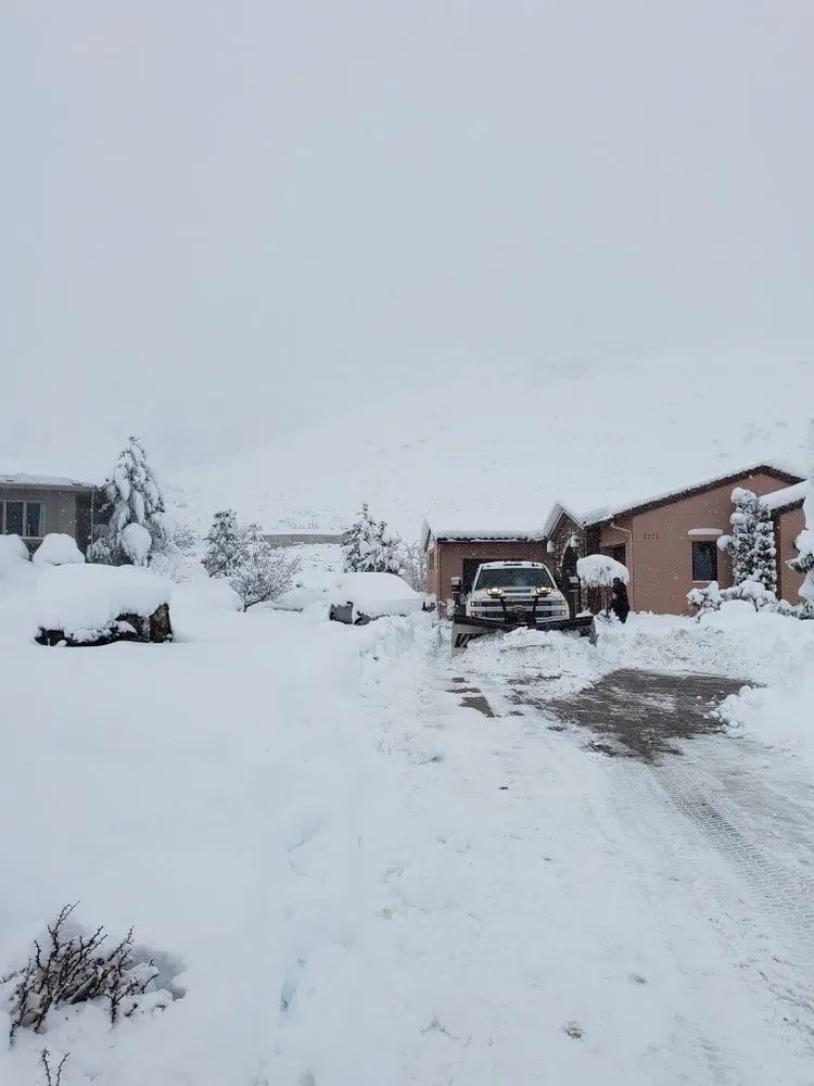 Reliable yard cleanup service experts serving Reno, NV - Nick’s Property Cleanup & Hauling