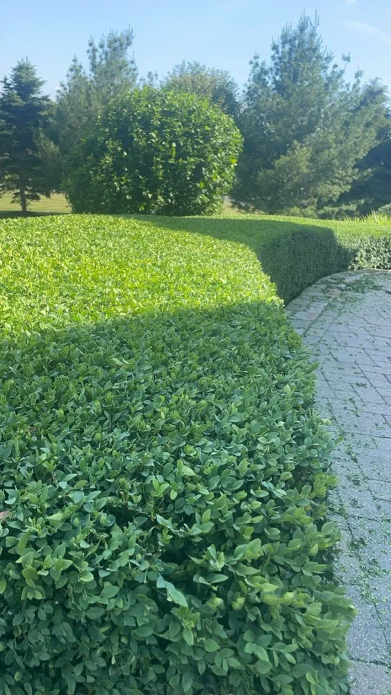 Professional garden landscaping in Lagrangeville, NY - Nick’s Property Maintenance