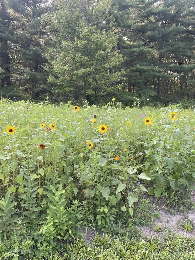 Trusted landscaping services near you across Lagrangeville, NY - Nick’s Property Maintenance