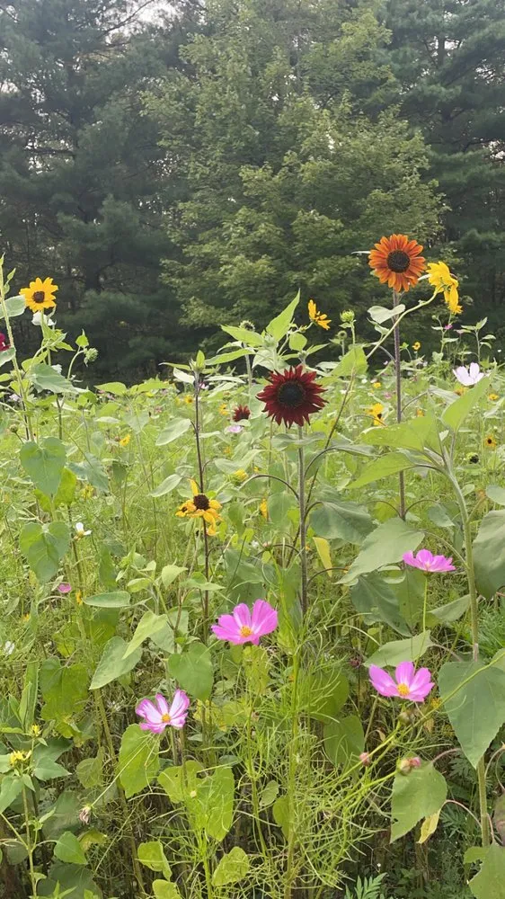 Affordable landscaping services in Lagrangeville, NY by Nick’s Property Maintenance