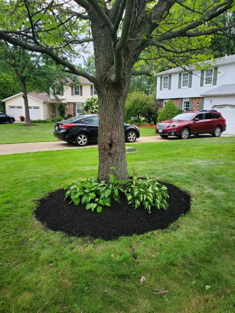 Trusted yard maintenance in Orchard Park, NY - Nick's Service With A Smile