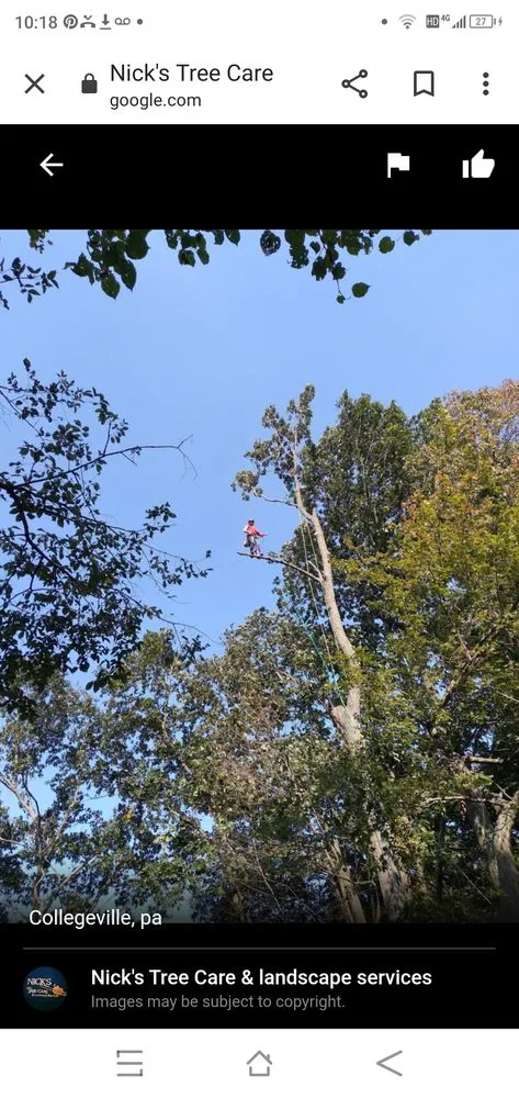 Expert garden landscaping experts serving Bridgeport, PA - Nick’s Tree Care & Landscape Services