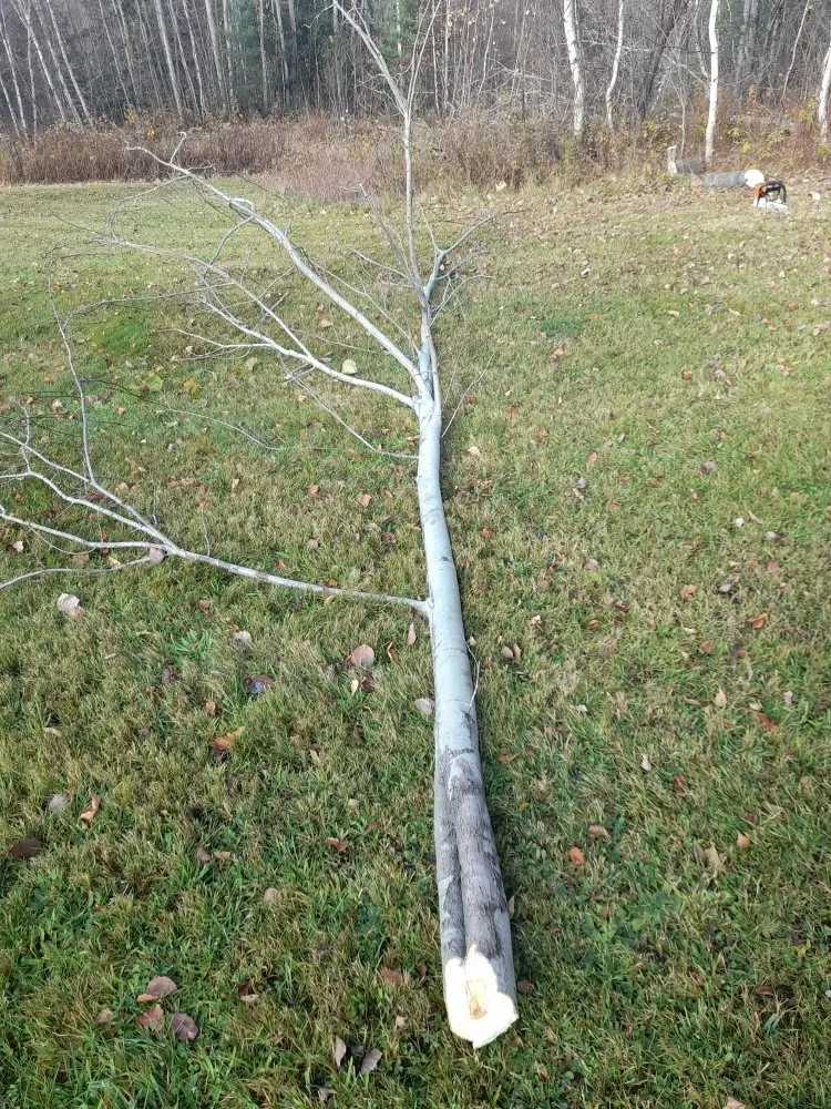 Expert garden landscaping in Newport, VT by Nicks Tree Service and Landscaping