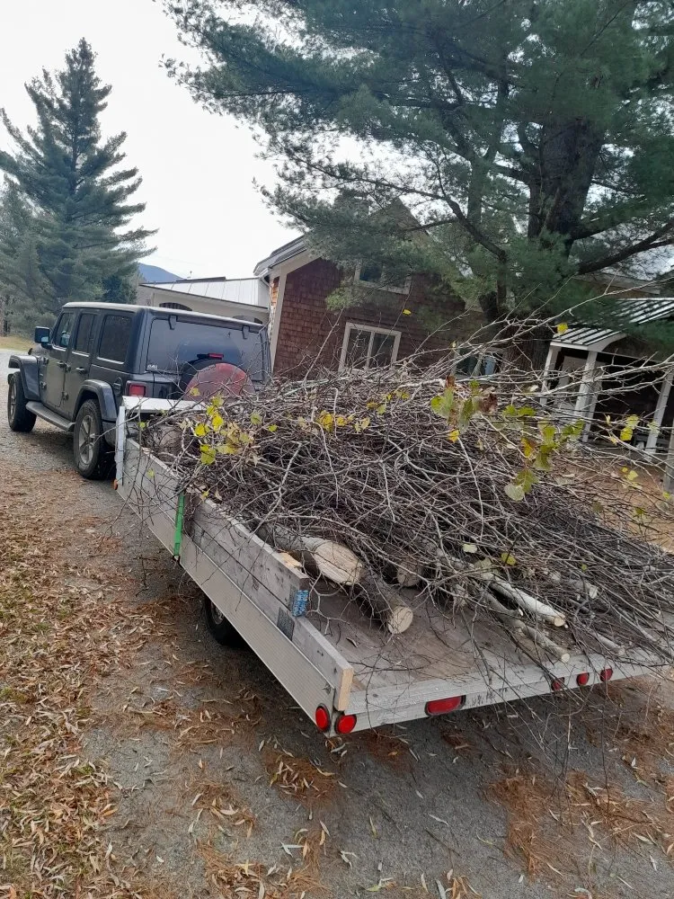 Local lawn care service for year-round maintenance across Newport, VT - Nicks Tree Service and Landscaping