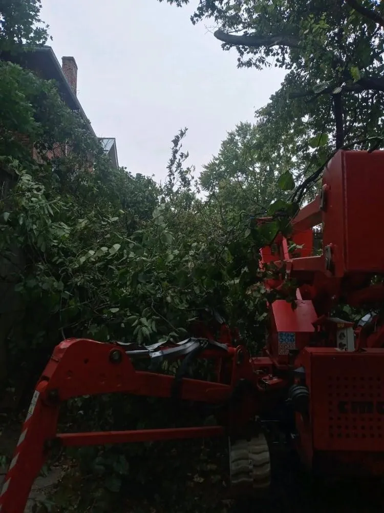 Reliable lawn care service with custom design across New Kensington, PA - Nicks Tree Service