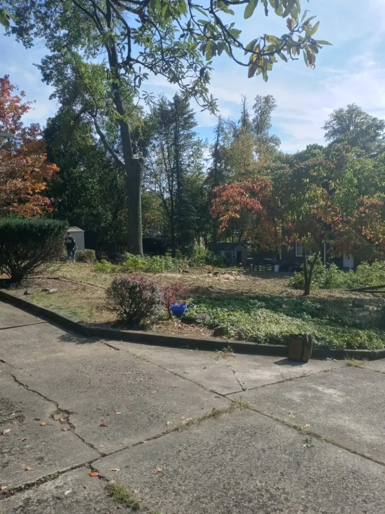 Trusted lawn mowing service near you across New Kensington, PA - Nicks Tree Service