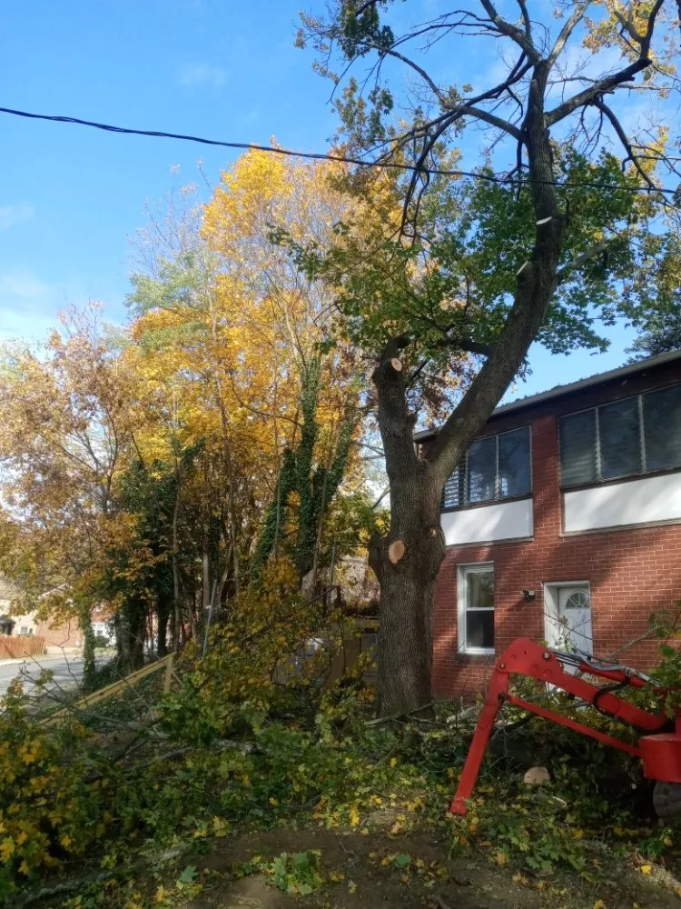 Affordable lawn mowing service in New Kensington, PA by Nicks Tree Service