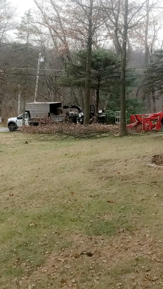 Custom landscape design in New Kensington, PA by Nicks Tree Service