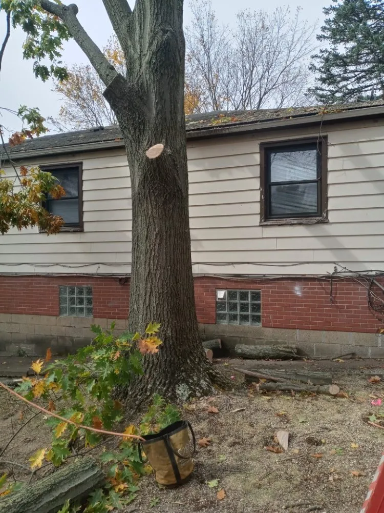 Expert garden landscaping for year-round maintenance across New Kensington, PA - Nicks Tree Service