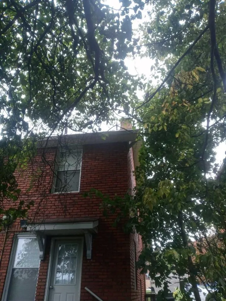 Trusted residential landscaping experts serving New Kensington, PA - Nicks Tree Service