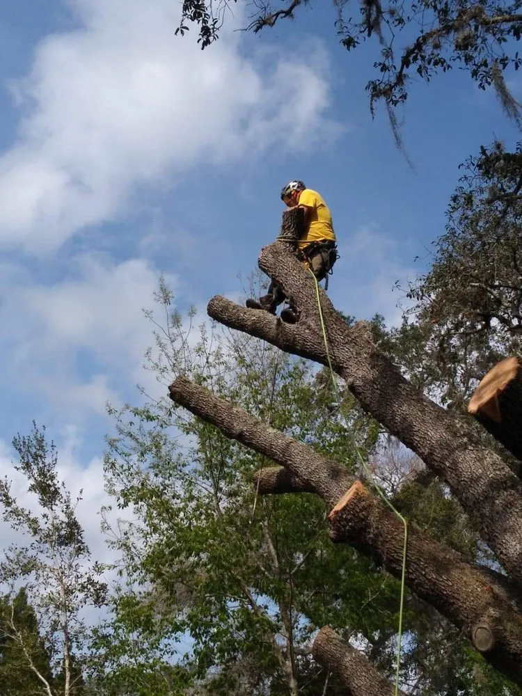Reliable garden landscaping experts serving New Port Richey, FL - Nick's Tree Service