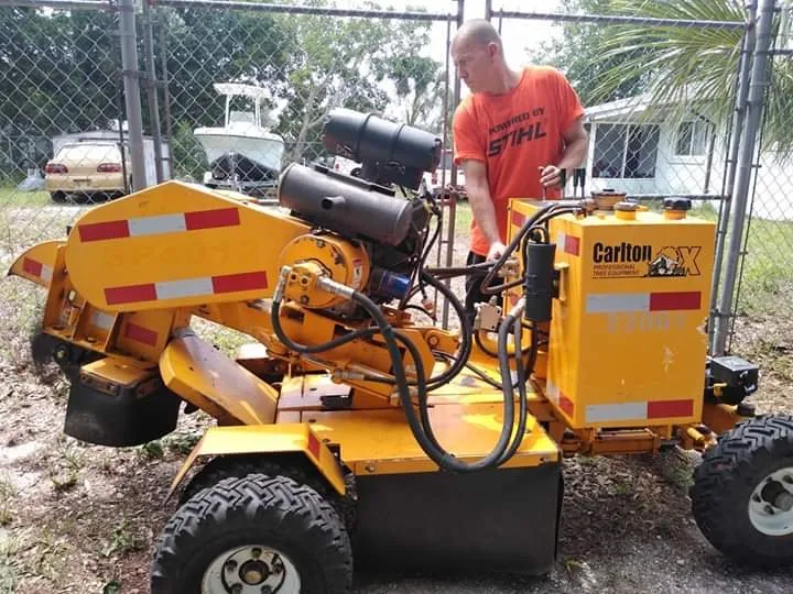 Affordable yard cleanup service experts serving New Port Richey, FL - Nick's Tree Service